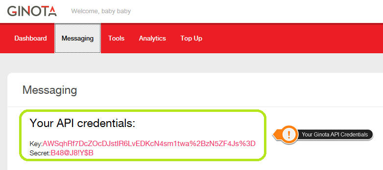 Ginota API credentials